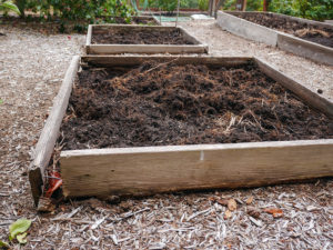 RaisedBeds_sm_P1270811